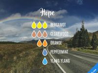 1 TÃ¸nde Olie - Article 2